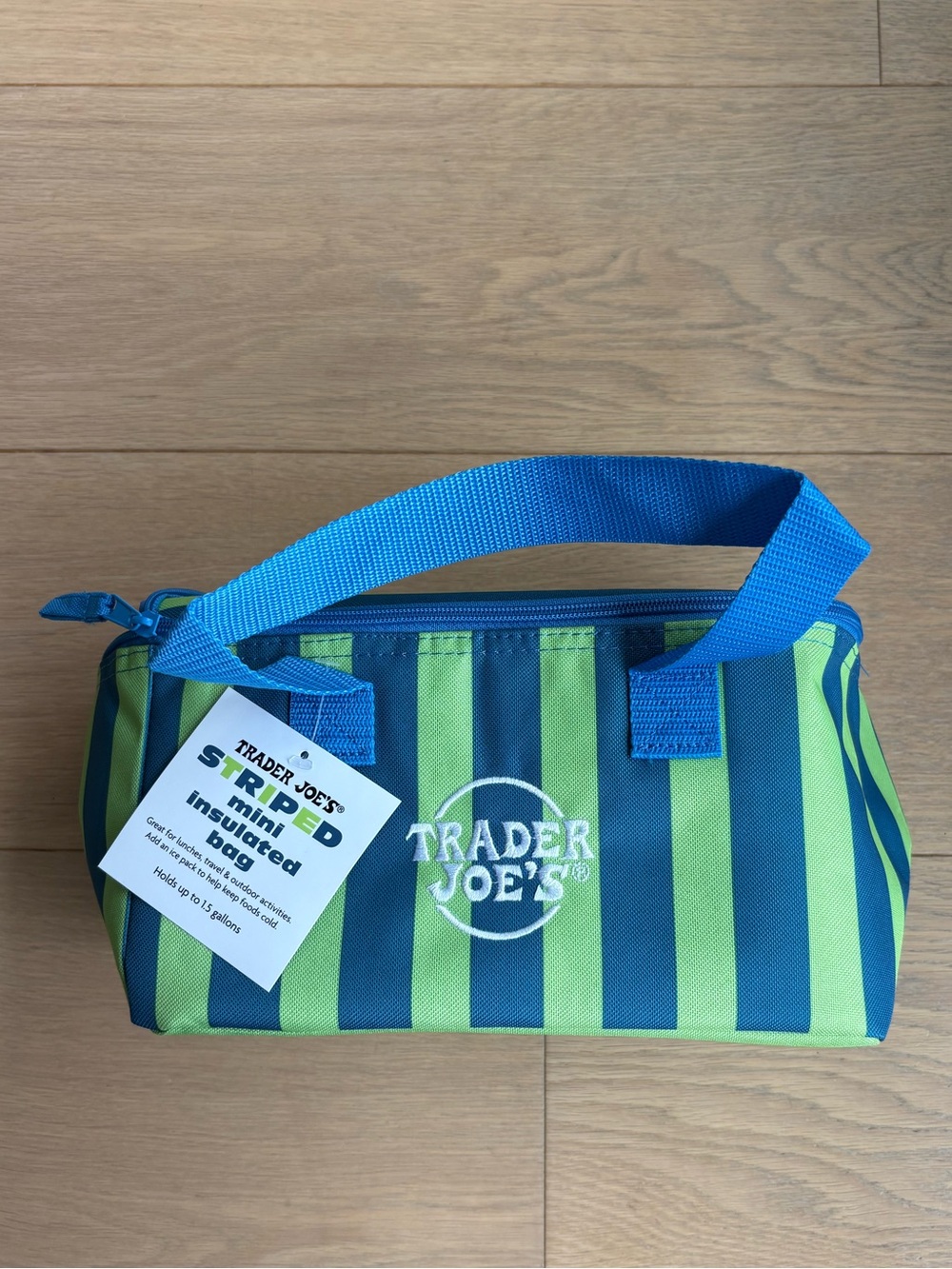 NWT 2026 Trader Joe's Striped Insulated Lunch Bag - Blue & Green